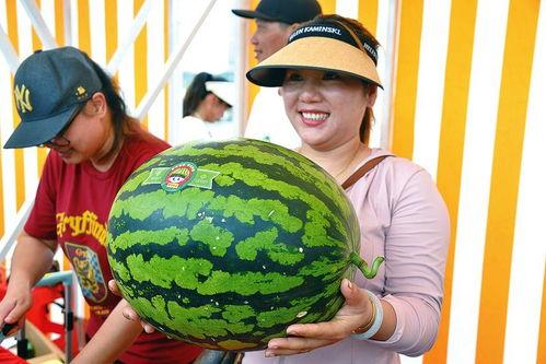 每天看娱乐吃瓜会怎么样,生活百态尽收眼底