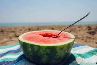 娱乐吃瓜教,吃瓜群众教你如何成为行走的八卦达人